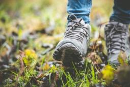 Wandelroute - 13 km