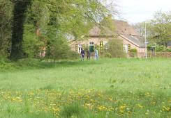 Tal van wandelroutes in de gemeente Lochem